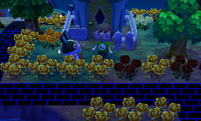 Dotty struggling to get out of a pitfall.