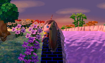 Catching an arapaima.