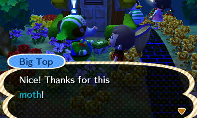 Big Top: Nice! Thanks for this moth!