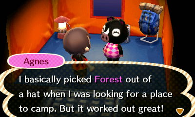 Agnes: I basically picked Forest out of a hat when I was looking for a place to camp. But it worked out great!