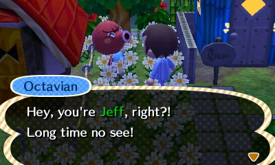 Octavian: Hey, you're Jeff, right?! Long time no see!