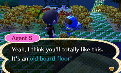 Agent S: Yeah, I think you'll totally like this. It's an old board floor!