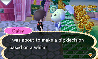 Daisy: I was about to make a big decision based on a whim!