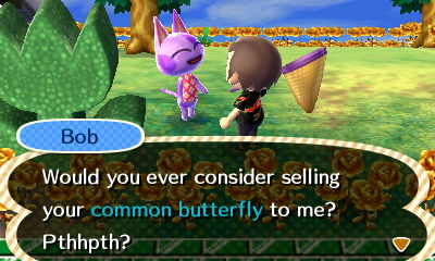 Bob: Would you ever consider selling your common butterfly to me?