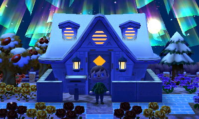 The northern lights above my house.