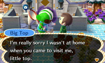Big Top: I'm really sorry I wasn't at home when you came to visit me, little top.