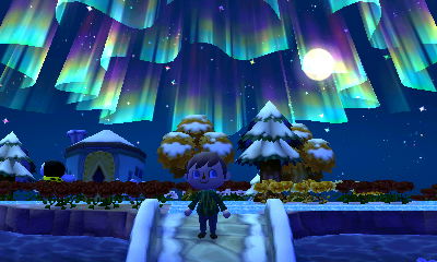 Northern Lights above Forest.