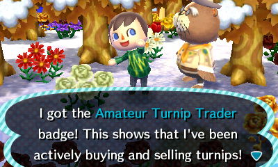 I got the Amateur Turnip Trader badge! This shows that I've been actually buying and selling turnips!