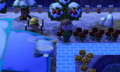 The spot where I'm putting my instrument shelter.