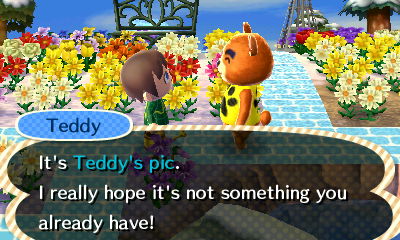 Teddy: It's Teddy's pic. I really hope it's not something you already have!