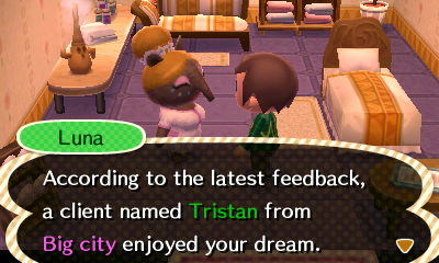 Luna: According to the latest feedback, a client named Tristan from Big City enjoyed your dream.
