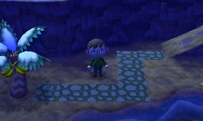 Kim's stone pebble pathway design.