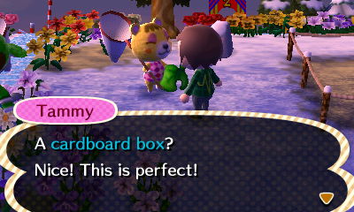 Tammy: A cardboard box? Nice! This is perfect!