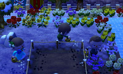 Watering a house plot.