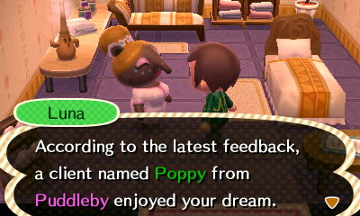 Luna: According to the latest feedback, a client named Poppy from Puddleby enjoyed your dream.