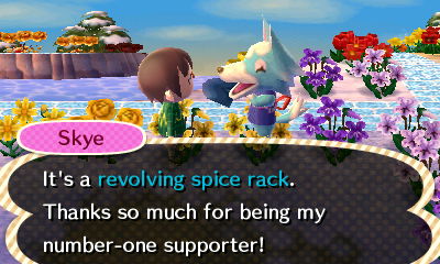 Skye: It's a revolving spice rack. Thanks so much for being my number-one supporter!