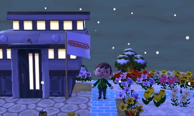 My Nintendo logo flag.