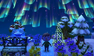 The northern lights as seen from Forest's central park.