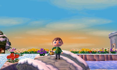 A pretty sunset in Forest.