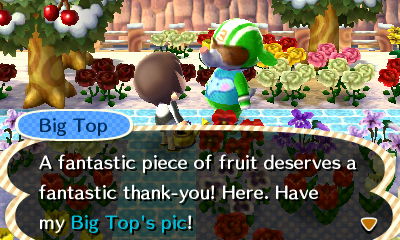 Big Top: A fantastic piece of fruit deserves a fantastic thank-you! Here. Have my Big Top's pic!