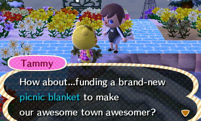 Tammy: How about...funding a brand-new picnic blanket to make our awesome town awesomer?