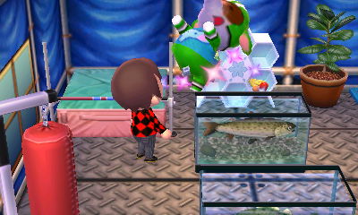 Big Top flips as he takes medicine.