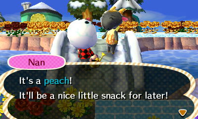 Nan: It's a peach! It'll be a nice little snack for later!