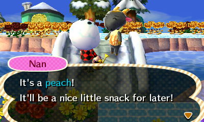 Nan: It's a peach! It'll be a nice little snack for later!