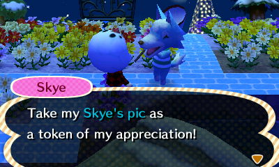 Skye: Take my Skye's pic as a token of my appreciation!