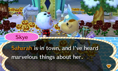 Skye: Saharah is in town, and I've heard marvelous things about her.