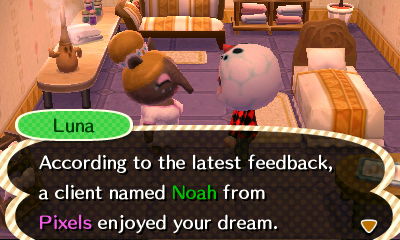 Luna: According to the latest feedback, a client named Noah from Pixels enjoyed your dream.
