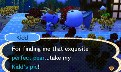 Kidd: For finding me that exquisite perfect pear...take my Kidd's pic!
