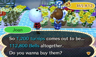 Joan: So 1,200 turnips comes out to be... 112,800 bells altogether. Do you wanna buy them?