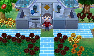 Green grass once again!