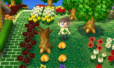 A bagworm hangs from a dead, leafless tree.