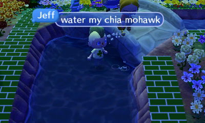 Jeff: Water my Chia mohawk.