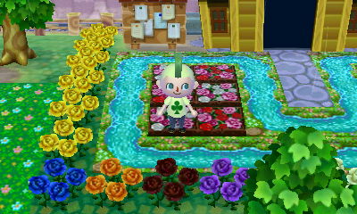 The town of Rotledge.