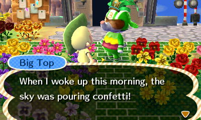 Big Top: When I woke up this morning, the sky was pouring confetti!