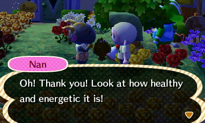 Nan: Oh! Thank you! Look at how healthy and energetic it is!