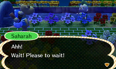 Saharah: Ahh! Wait! Please to wait!