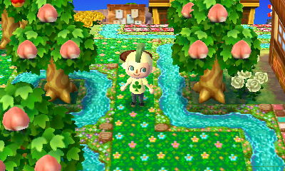 Grass and water patterns in Rotledge.