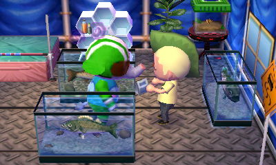 Big Top hands me some medicine.