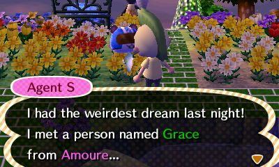 Agent S: I had the weirdest dream last night! I met a person named Grace from Amoure...