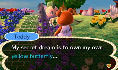Teddy: My secret dream is to own my own yellow butterfly...