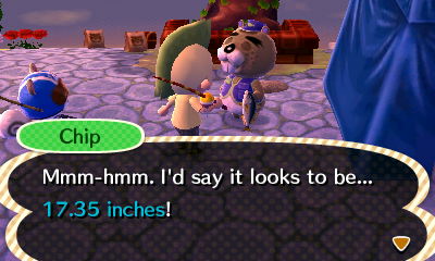 Chip: Mmm-hmm. I'd say it looks to be... 17.35 inches!