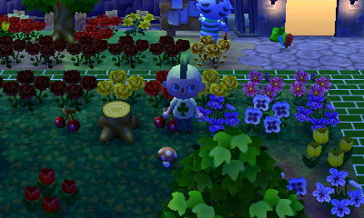 A famous mushroom on the ground by my tree stump.