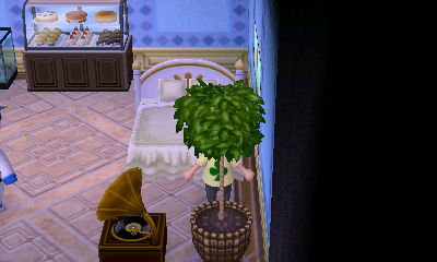 Standing behind a plant in Tia's house.