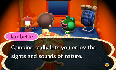 Jambette: Camping really lets you enjoy the sights and sounds of nature.