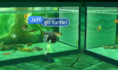 Jeff: Go turtle!