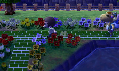 Making Saharah chase me.